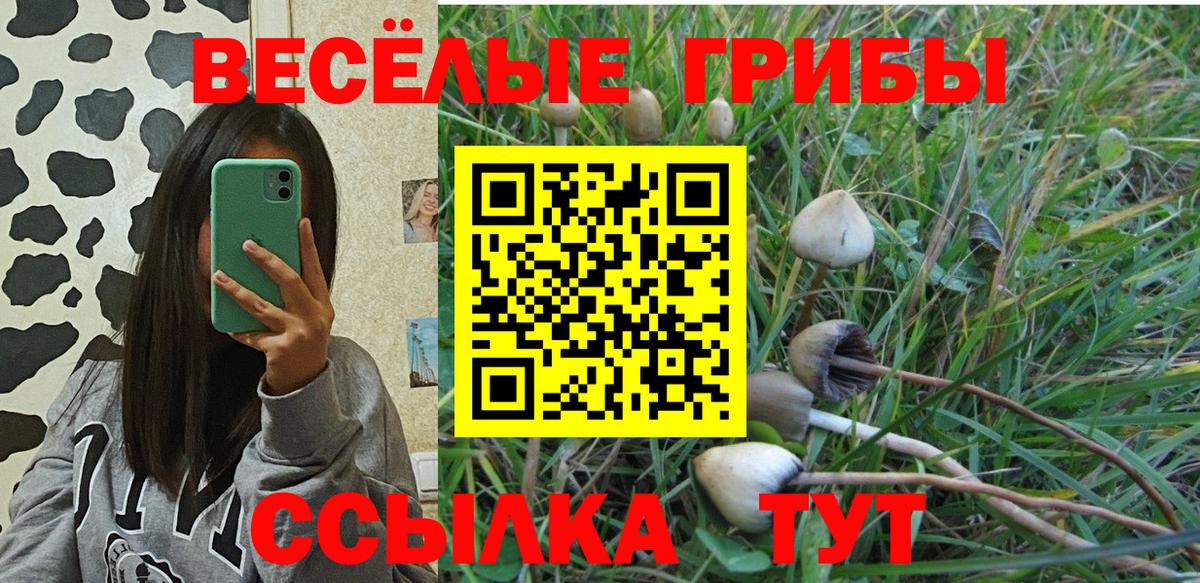 Галлюциногенные грибы Magic Shrooms  что такое   Пушкино  Вход с VPN  Псилоцибиновые грибы GOLDEN TEACHER 