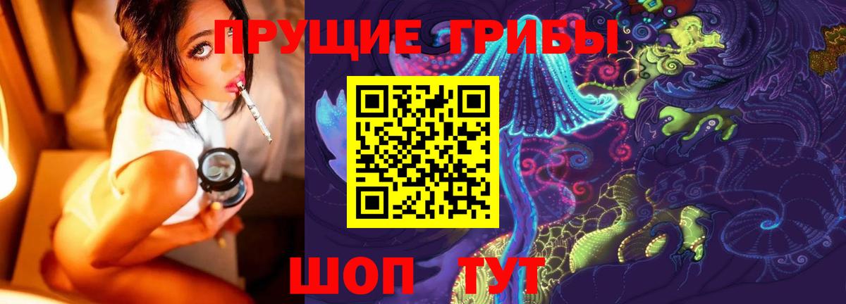 Галлюциногенные грибы Psilocybine cubensis Пушкино