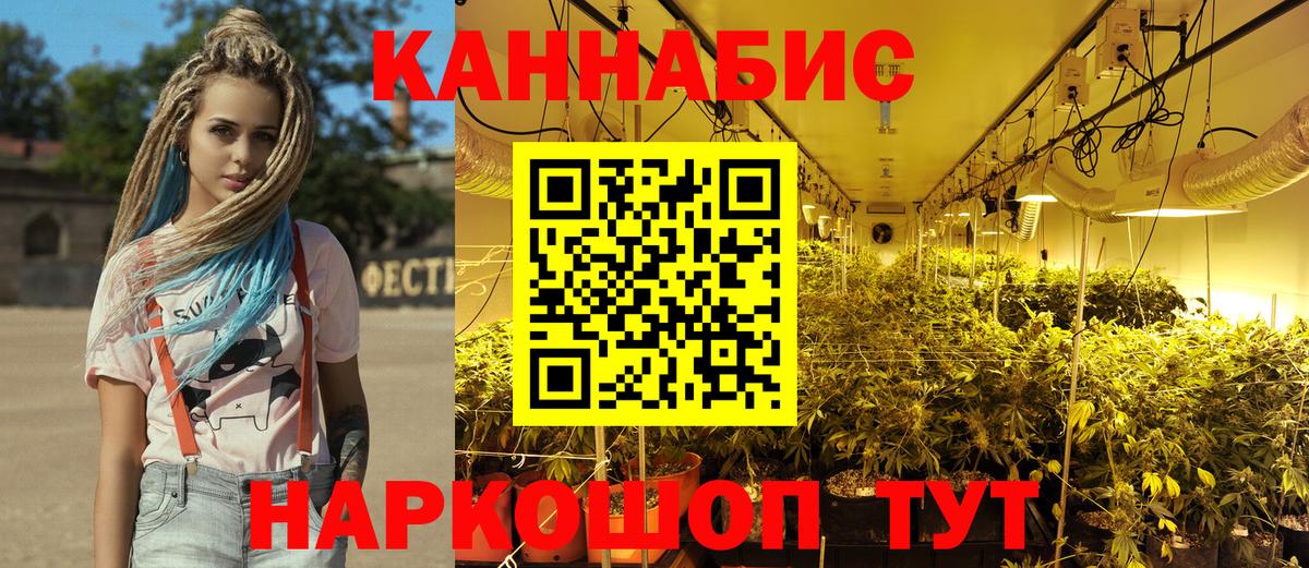 Канабис сатива Пушкино